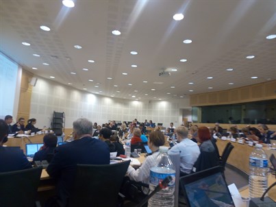 42ª Reunião Do AD Hoc Comité Europeu