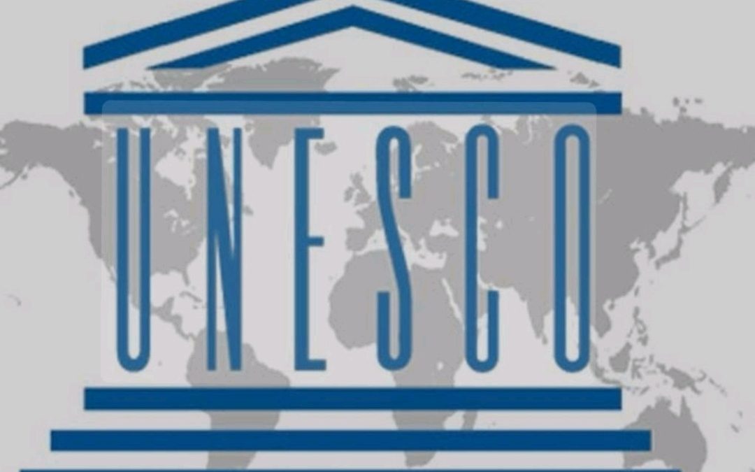 Reunião do Grupo de Trabalho Aberto – UNESCO